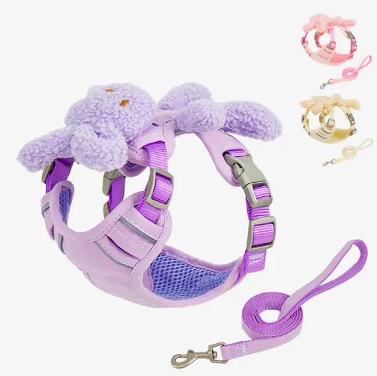 Prikupen pasji pas in povodec